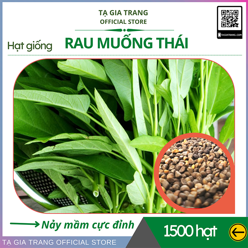 Hạt giống rau muống Thái Lan 50g