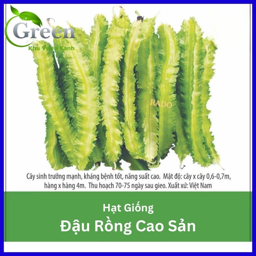 Hạt Giống Đậu Rồng Cao Sản