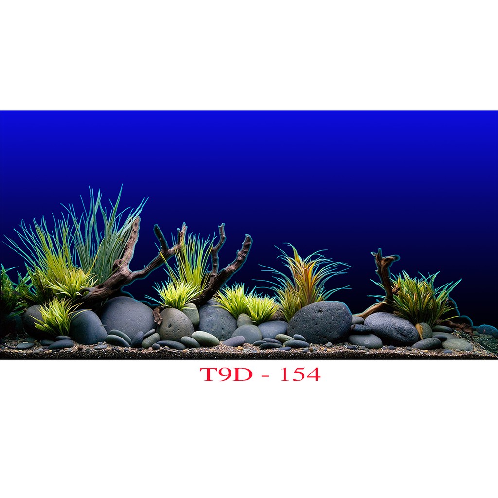 Tranh 3D bể cá mã T9D-154 kt (60,80,90,100,1m2,1m5,1m6)