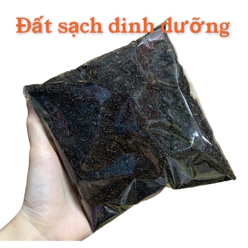 [HCM]Đất Trồng Dinh Dưỡng Trồng Cây Cỏ