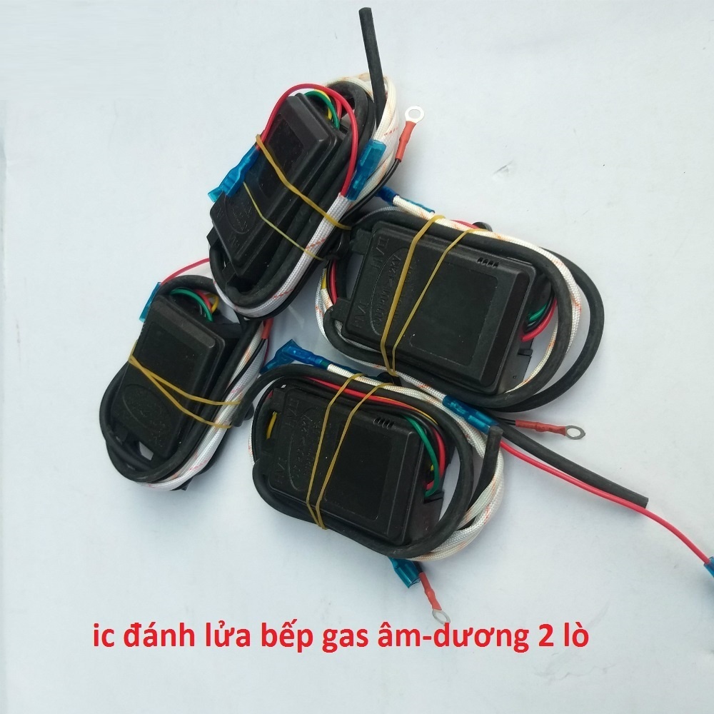 IC Đánh Lửa Bếp Gas Âm Dương 2 Lò Loại Tốt