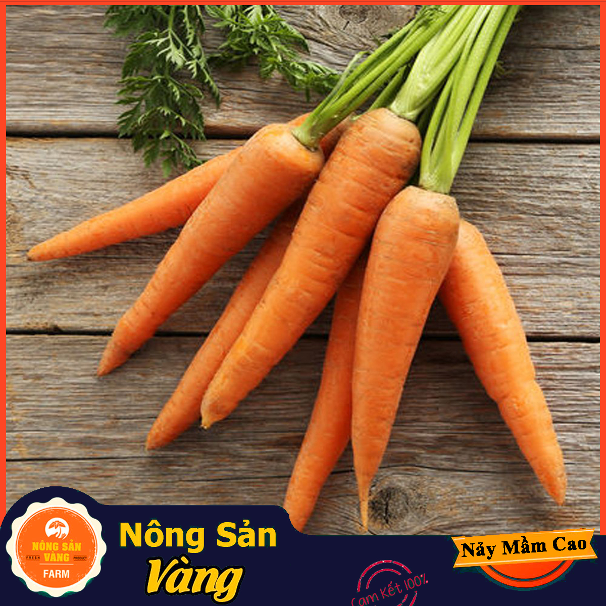 Hạt giống Cà Rốt Thường F1 ( Gói 3 Gram ) - Nông Sản Vàng
