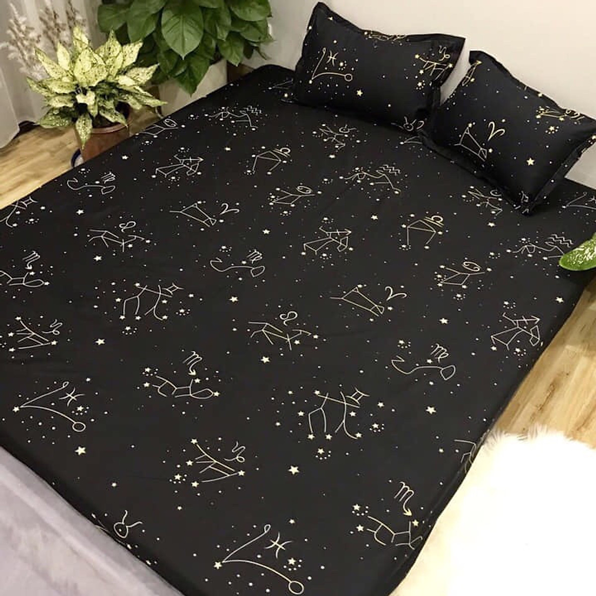 Set Ga Gối Mẫu Cung Hoàng Đạo ( Gồm 1 ga bo chun, 2 vỏ gối nằm + 1 vỏ gối ôm )
