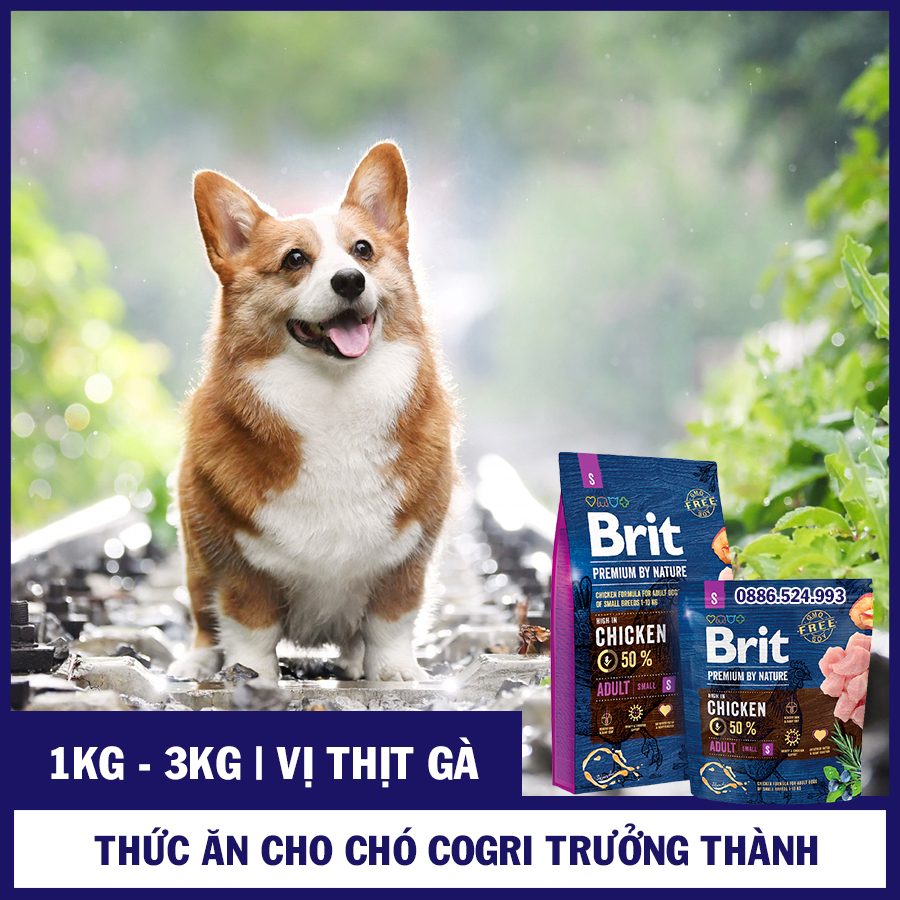 [BRIT VỊ GÀ TƯƠI 1KG - 3KG] Thức Ăn Cho Chó Corgi Trưởng Thành