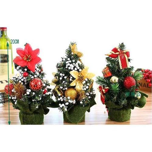Cây thông noel mini để bàn, Cây thông noel.