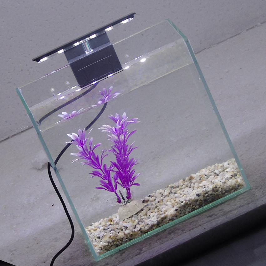 Bể cá mini để bàn 20x10x20 + Đèn Led