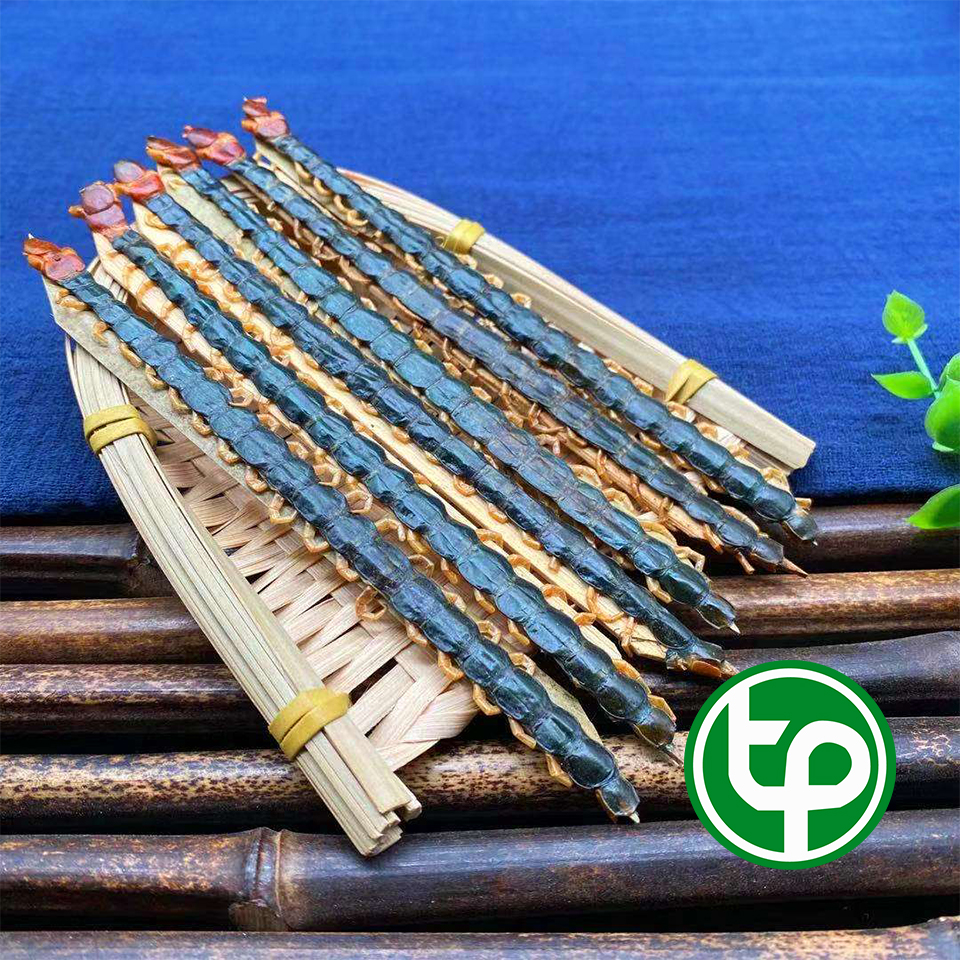 Con rết khô ( ngô công ) 1 con - Tấn Phát - Hàng công ty chất lượng cao