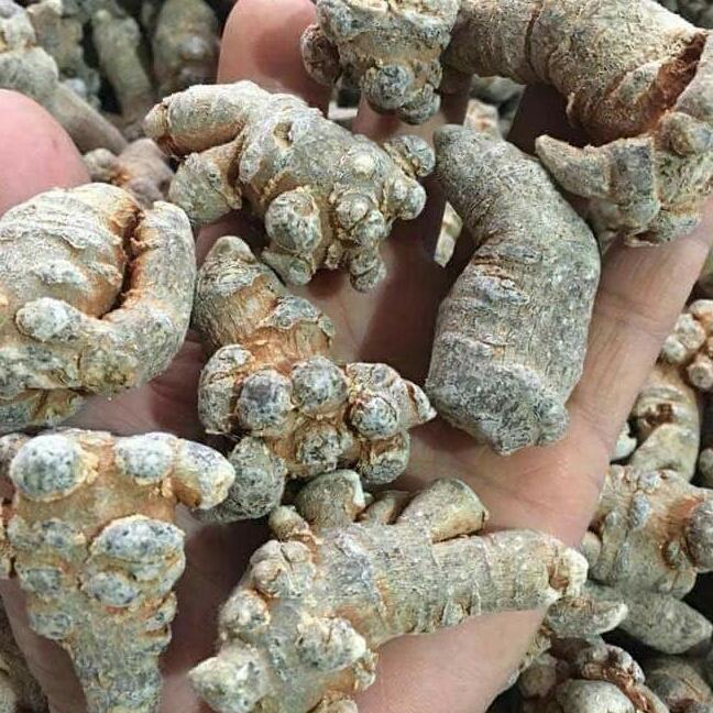 100g củ tam thất bắc