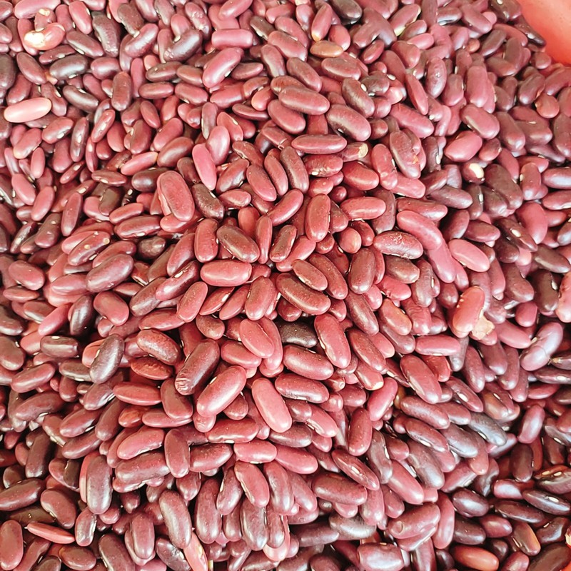 1 kg ĐẬU ĐỎ SẠCH ĐÀ LẠT HẠT TO NGON( LOẠI KHÔ)  ĐẬU ĐỎ