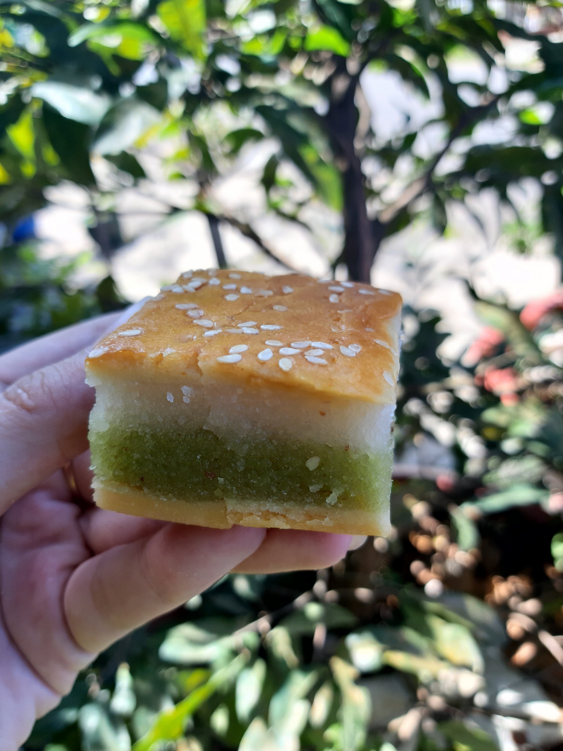 1 bịch bánh lam dừa siêu ngon
