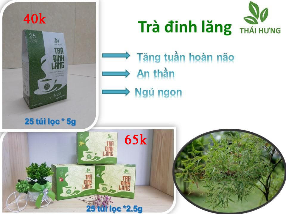 Trà Đinh Lăng Thái Hưng - Trà thảo dược túi lọc (25 túi x 5g)