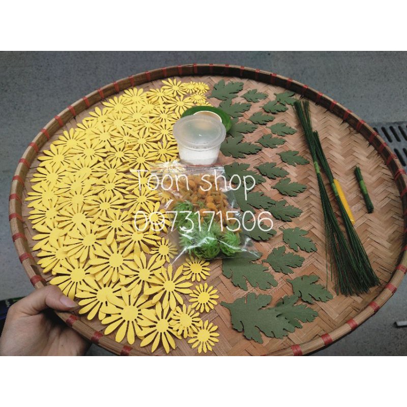 Lá cúc cắt sẵn 50-100 lá