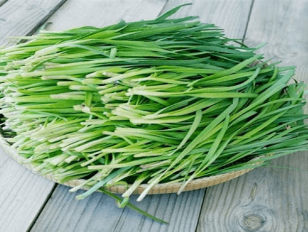 Hạt giống hẹ lá Thái Lan. 1 gr/gói