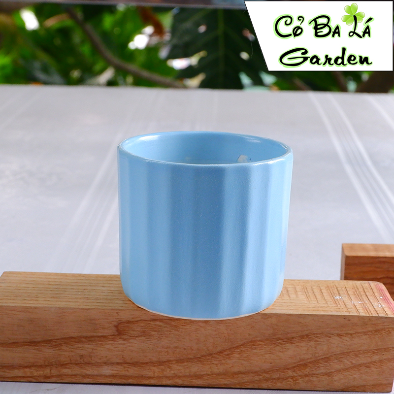 chậu sứ bát tràng hình trụ