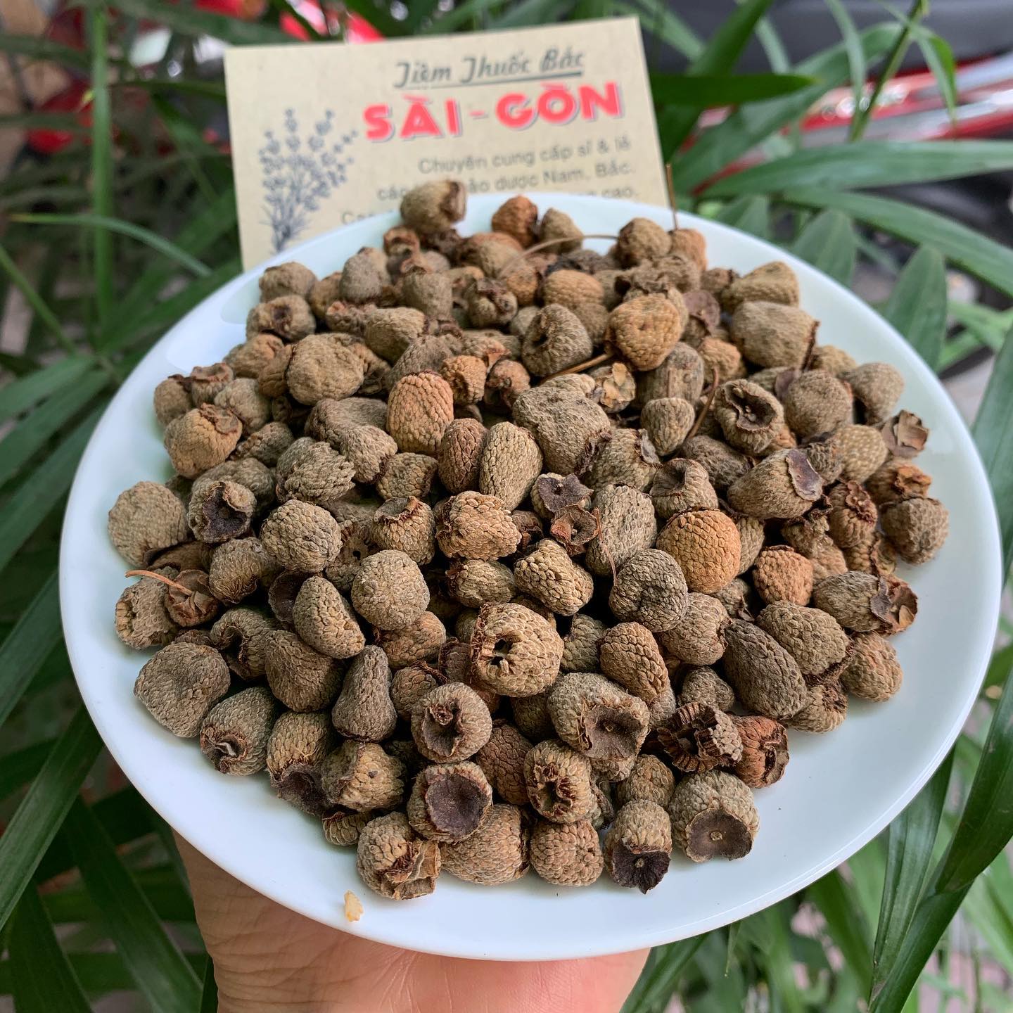 Phúc bồn tử 100gram