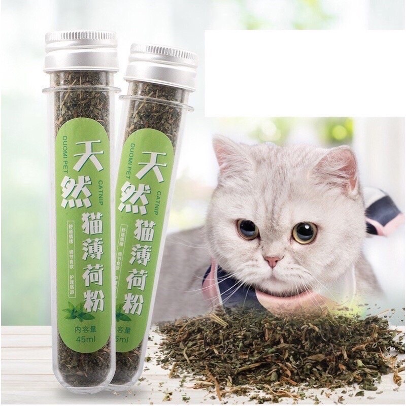 Ống cỏ bạc hà catnip cho mèo