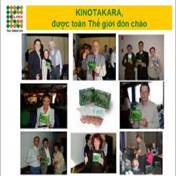 MIẾNG DÁN THẢI ĐỘC KINOTAKARA - kl012