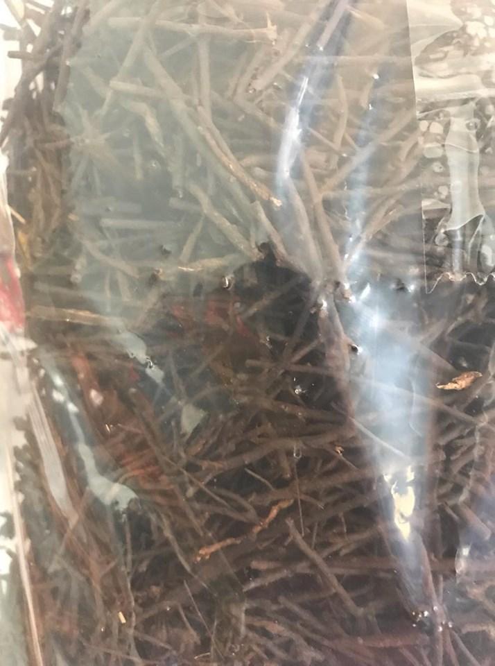 Dớn sợi trồng lan gói 500g