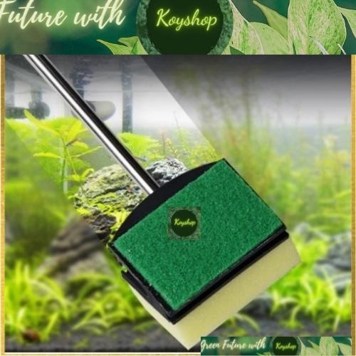 Cây cọ rửa vệ sinh bể cá 52cm - chà bể hồ cá thủy sinh