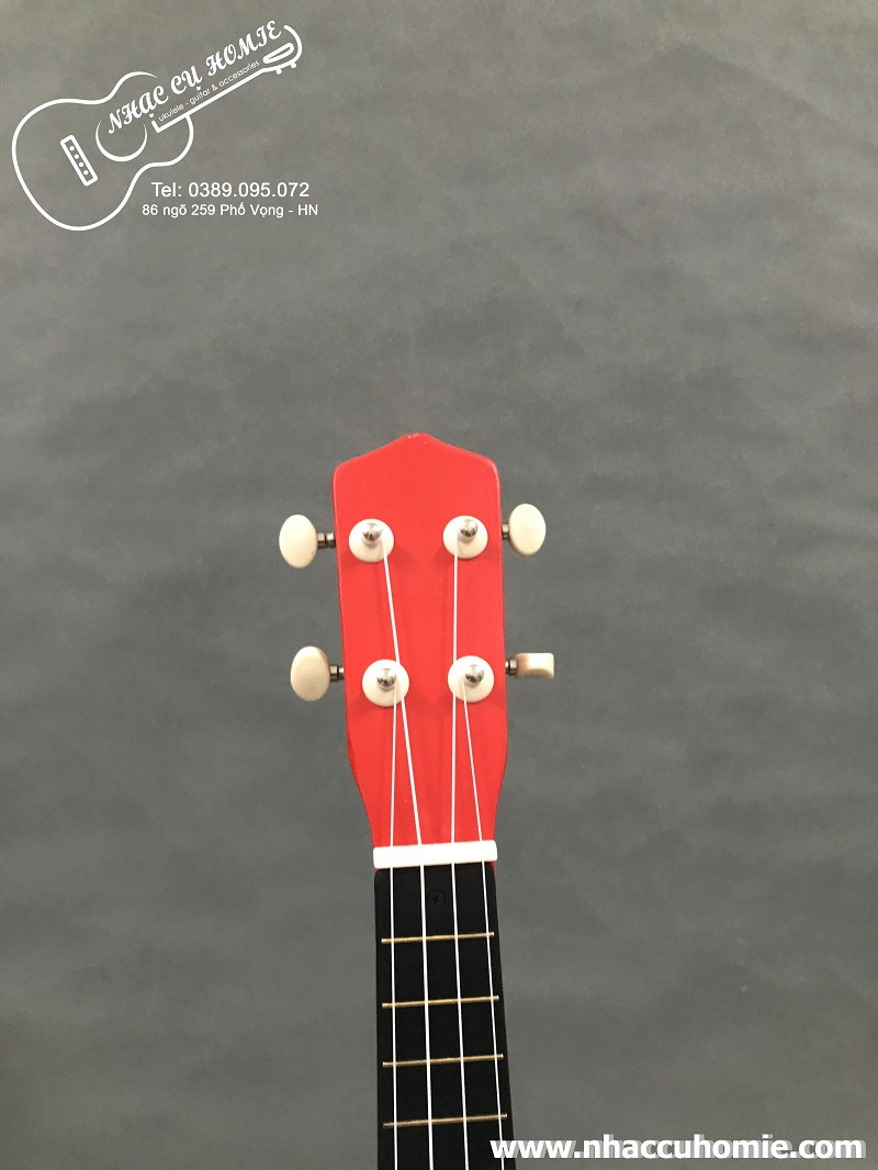 ĐÀN UKULELE SOPRANO 21INCH HÌNH CỜ