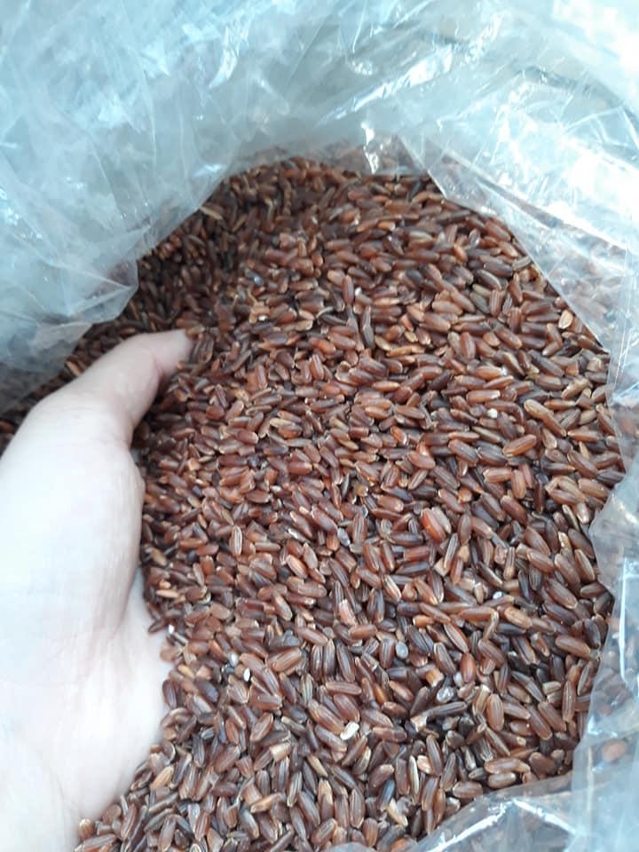 2kg gạo lứt rang chín