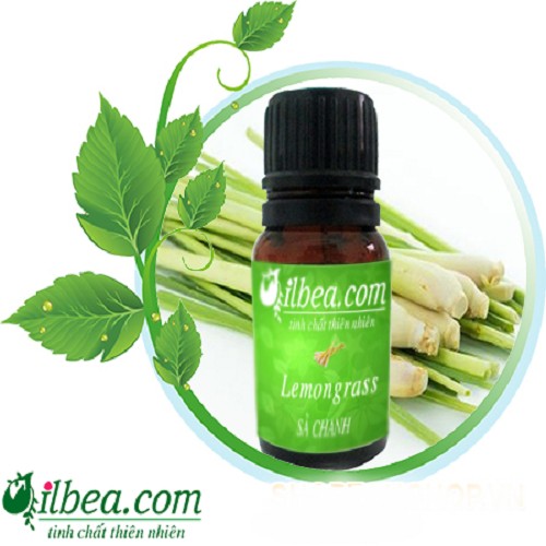 Tinh dầu sả chanh Ấn Độ 100ml