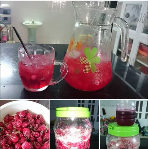 Trà Hoa Atiso Đỏ 100G