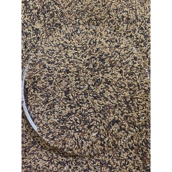 HẠT TRỘN DÀNH CHO YẾN HÓT Gói 1kg