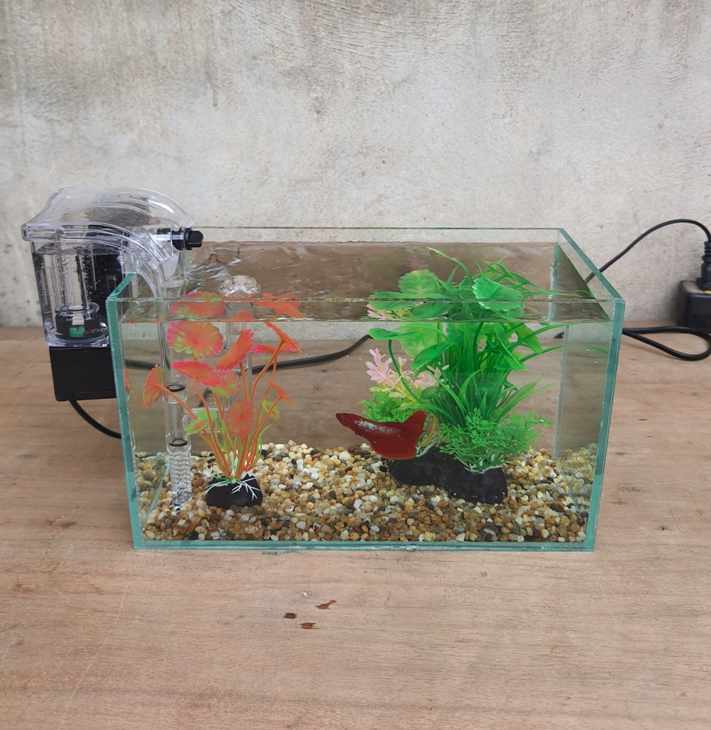 Bể cá mini 24 cm với 5 món (bể 24, sỏi nền, máy lọc, cây nhựa vừa, cây nhựa mini)