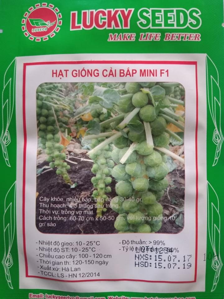 Hạt giống cải bắp mini F1