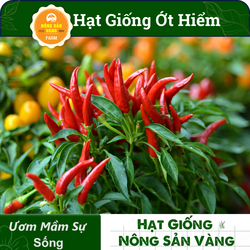 Hạt giống Ớt Hiểm, Dễ Trồng, Sinh Trưởng Và Phát Triển Khỏe, Năng Suất Cao (Gói 30 Hạt) - Nông Sản Vàng