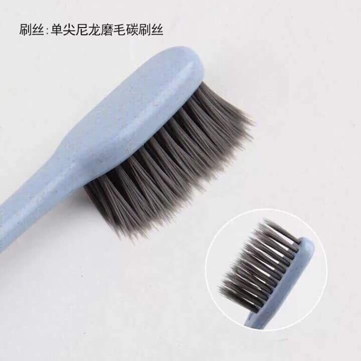 Set 10 bàn chải đánh răng lúa mạch