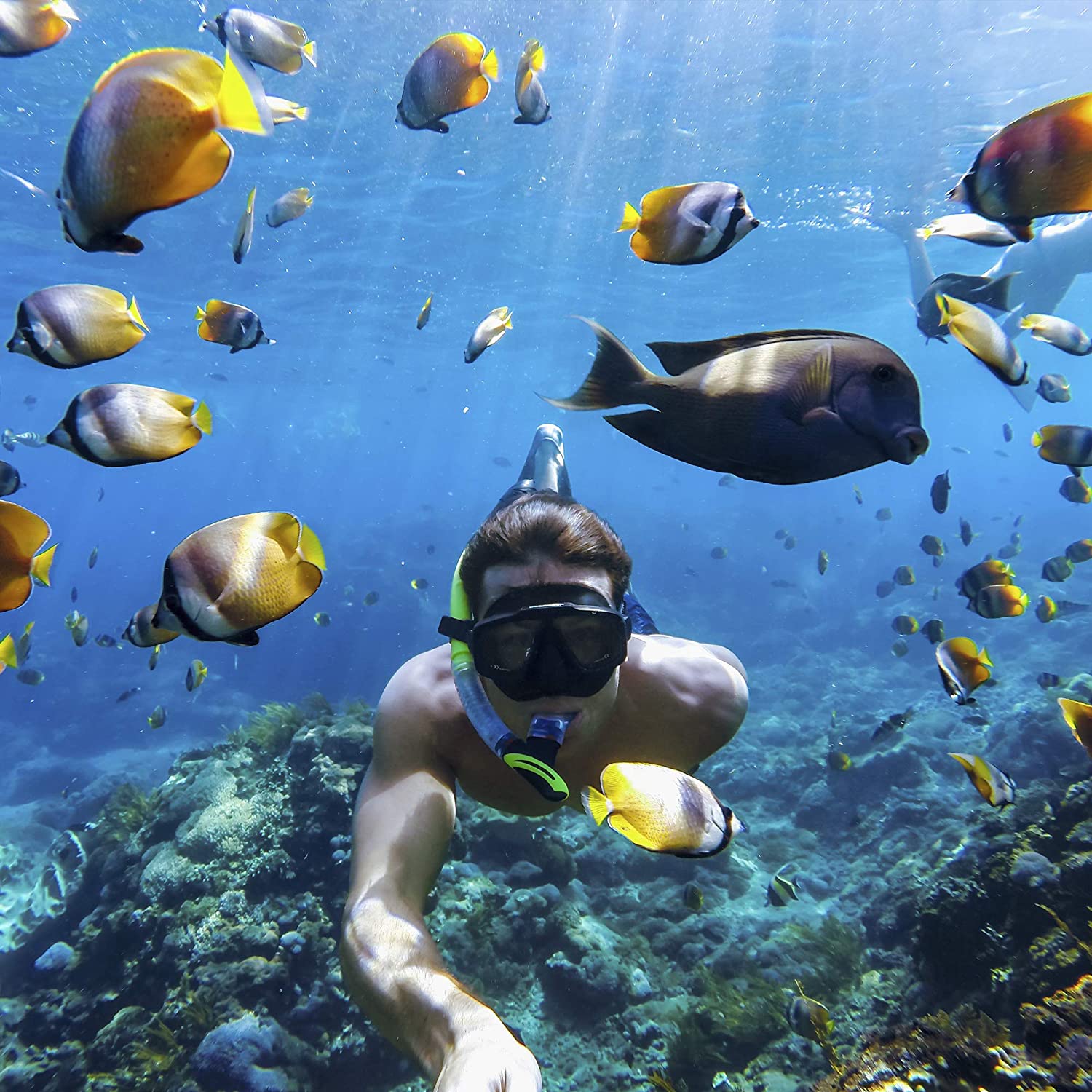 Camera hành trình Gopro HERO 8 BLACK (tặng thẻ nhớ 32gb)