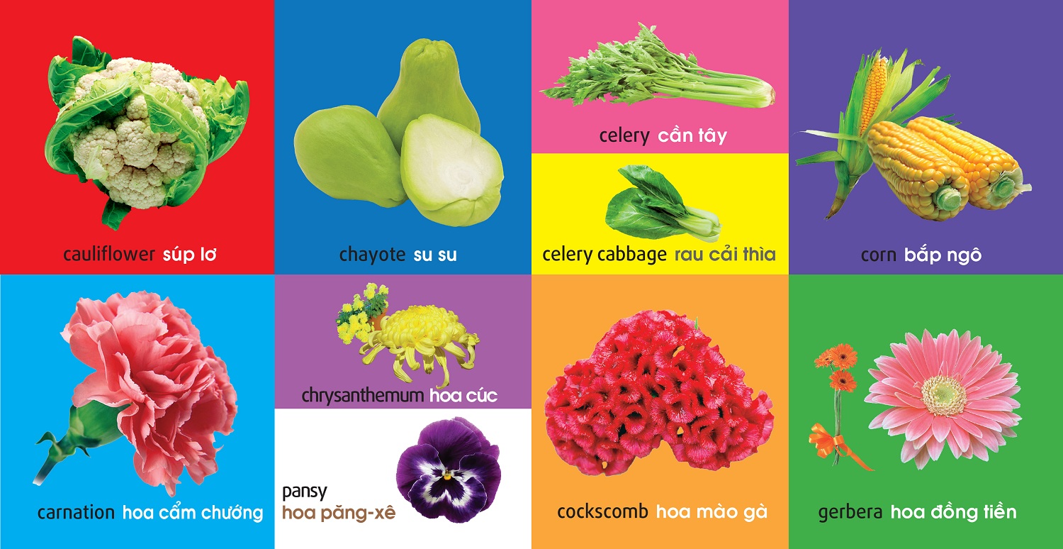 Sách: 101 First Words - Plants /101 Từ Đầu Tiên - Thực Vật ( TB )