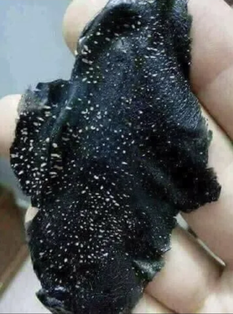 Lột mụn than tre Dr cell chính hãng