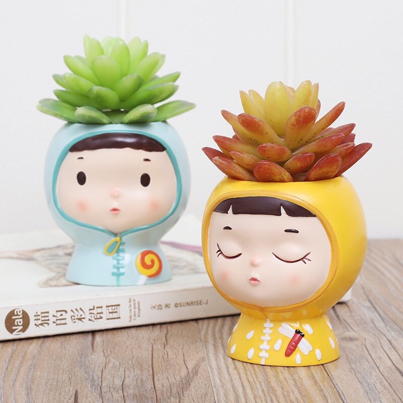 Chậu sen đá siêu kute