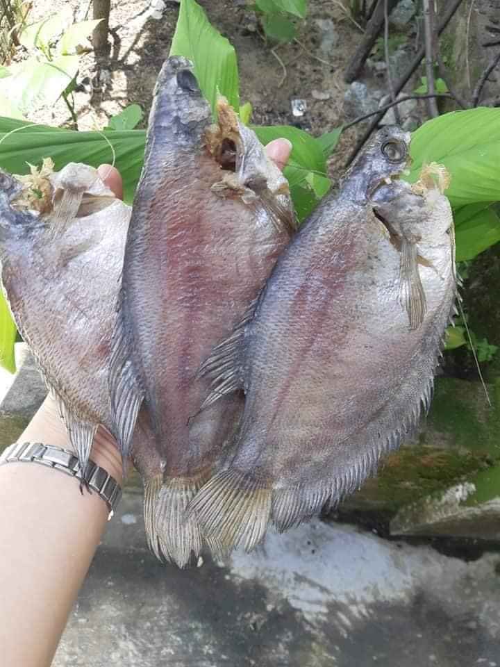 Khô sặc rằn U Minh - Cà Mau (8 con/500gam)