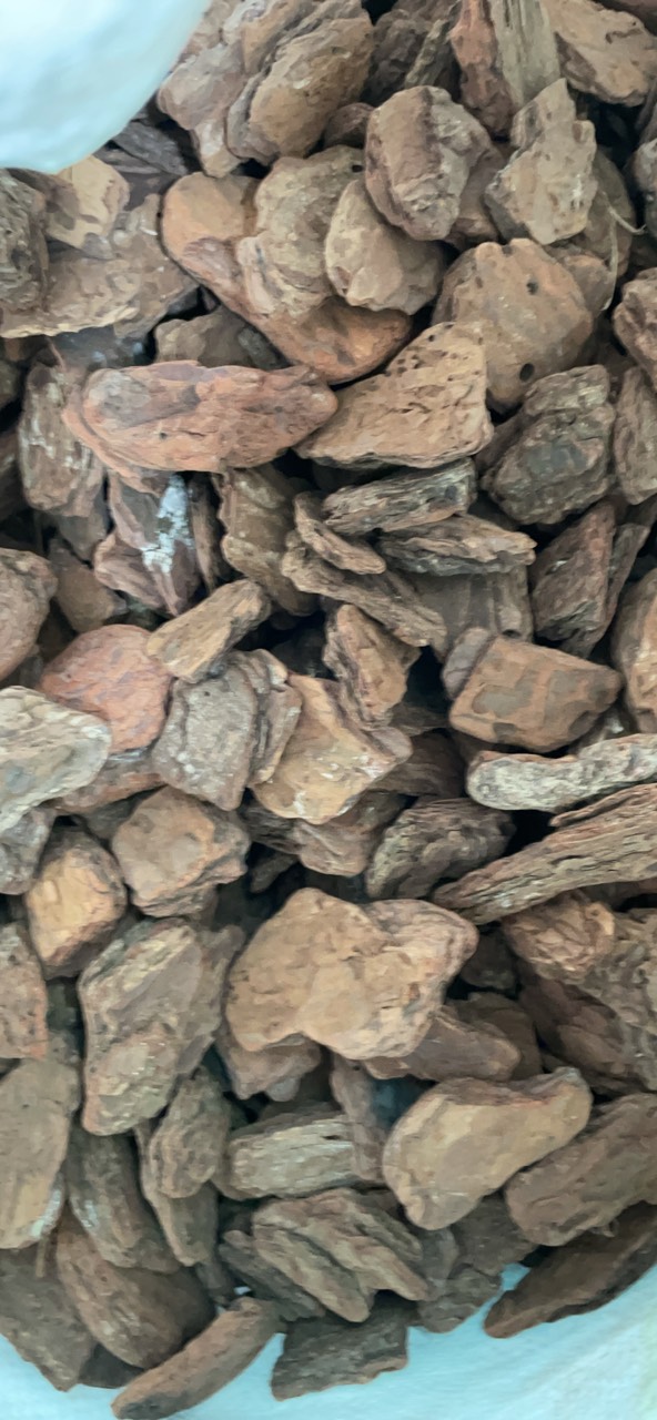 Vỏ Thông trồng Lan 5 kg