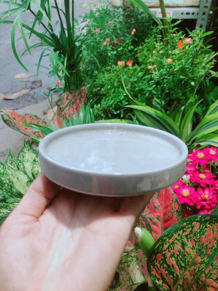 Đĩa Lót Chậu (đường kính 12cm)