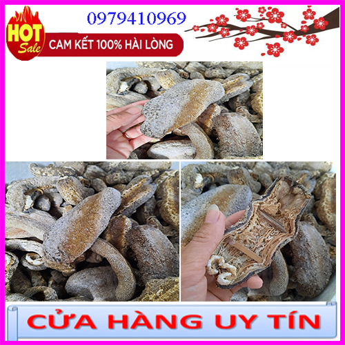 500gr Hải sâm da chăn. Đồn đột da chăn. Ngận da chăn
