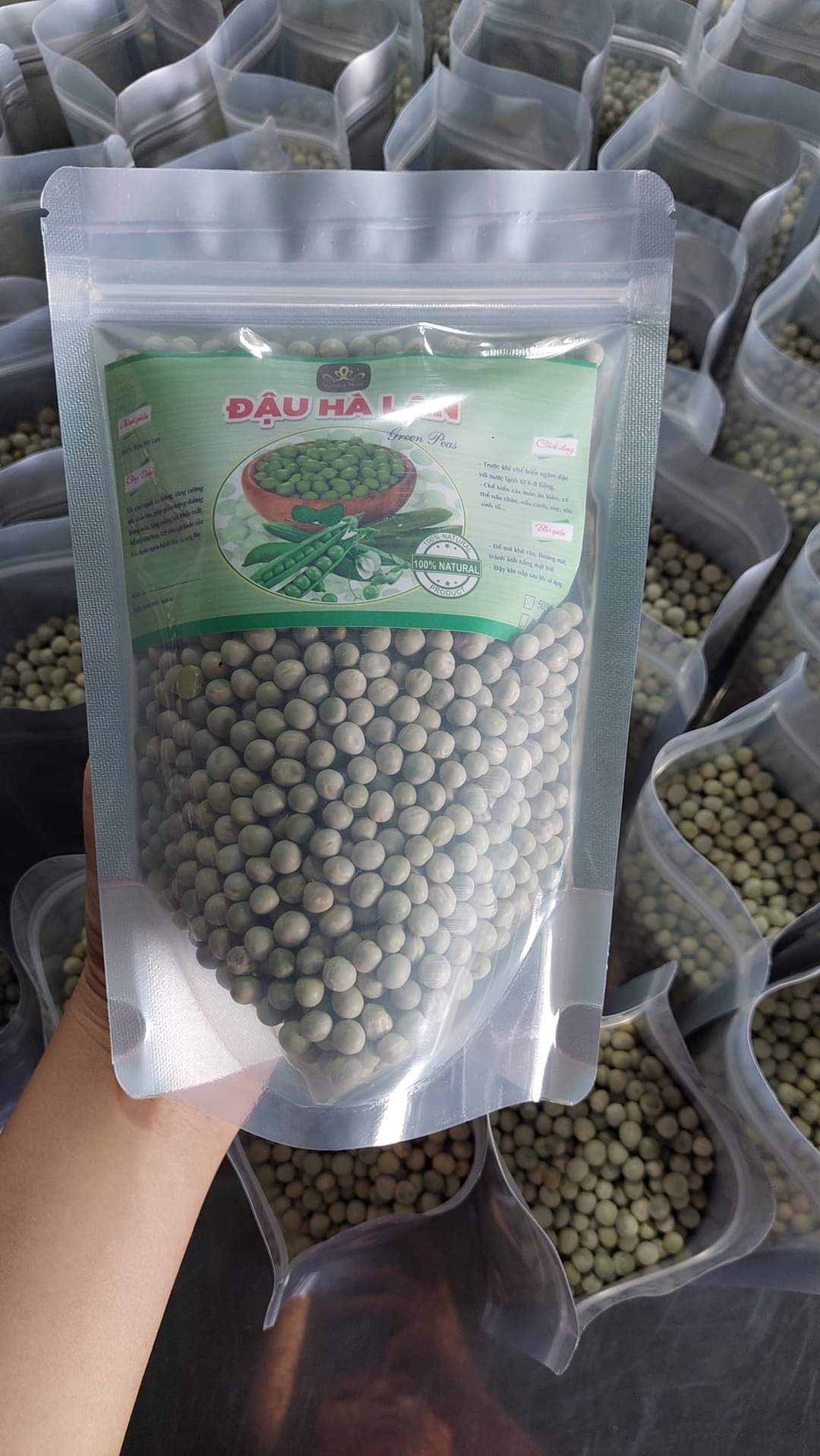500GRAM ĐẬU HÀ LAN (HẠT SỐNG) (Hạt Dinh Dưỡng.Vn)