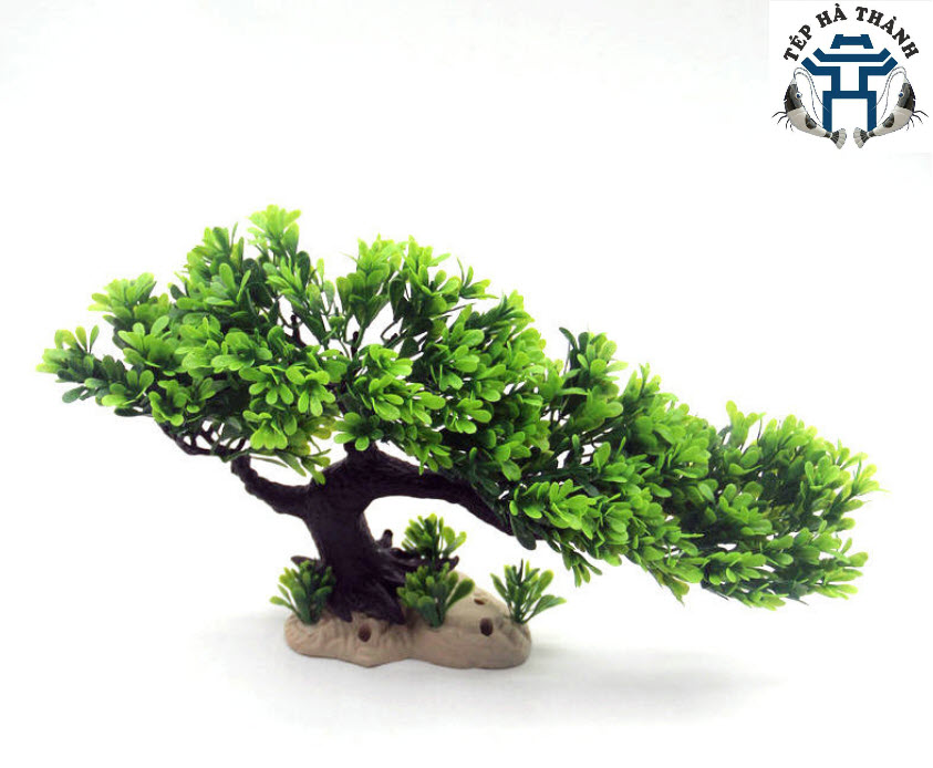 [Hoàn Tiền 10%] Lũa Bonsai Mini Trang Trí Bể Cá - Bể Thủy Sinh (D:20cm C: 15cm)