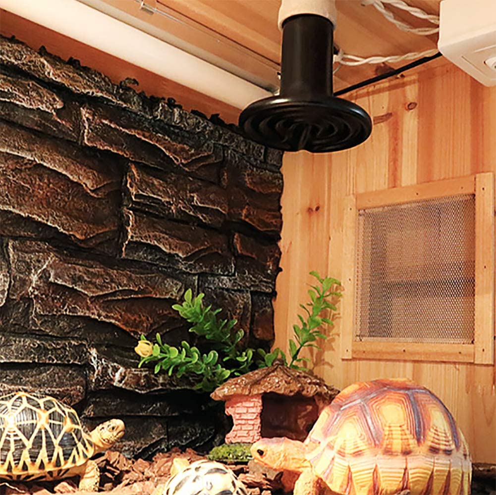 Đèn sưởi đêm dành cho bò sát 100W