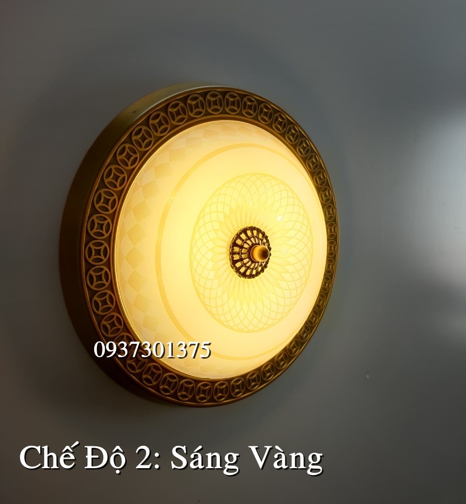 Đèn ốp Trần Cao Cấp Y018 Ánh Sáng Led 3 Chế Độ