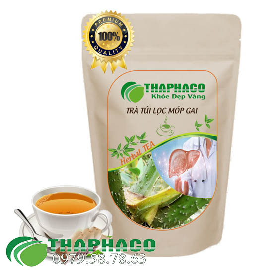 Trà Túi Lọc Mướp Gai (Móp Gai) Thaphaco