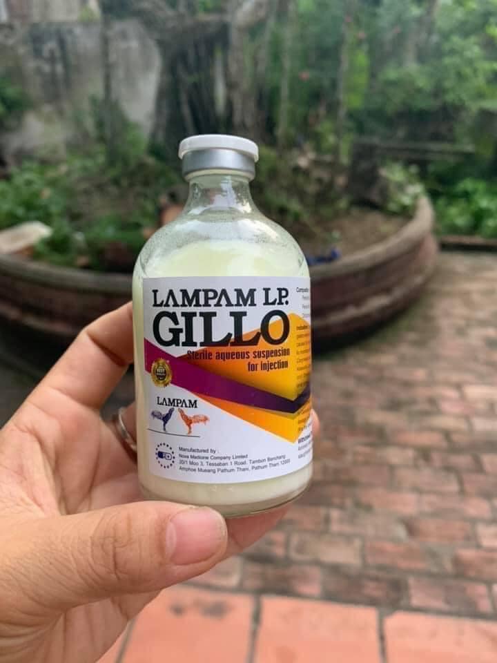 GILLO dùng cho gà bị bách bệnh