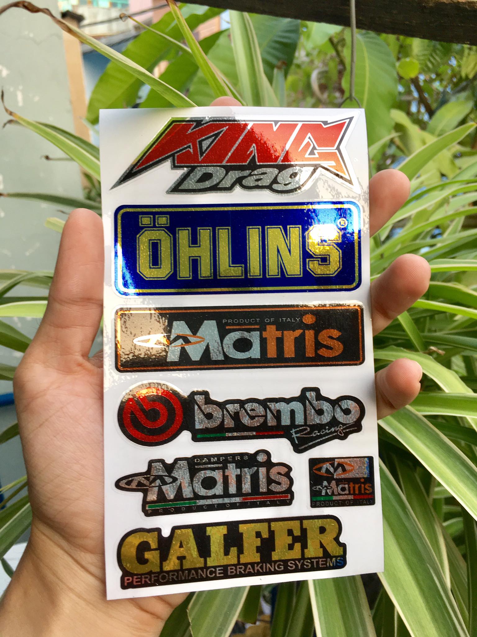 [HCM]TEM LOGO SI CROM KING DRAG OH MATRIX