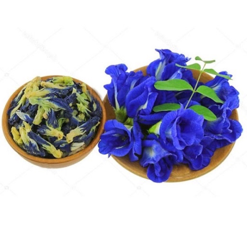 Hạt giống hoa đậu biếc cánh đơn-gói 20 hạt(tặng kèm phân bón)