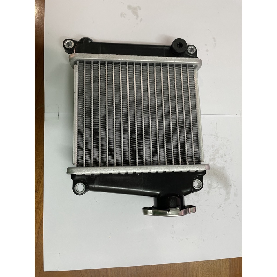 KÉT NƯỚC TẢN NHIỆT LEAD/SCR 110