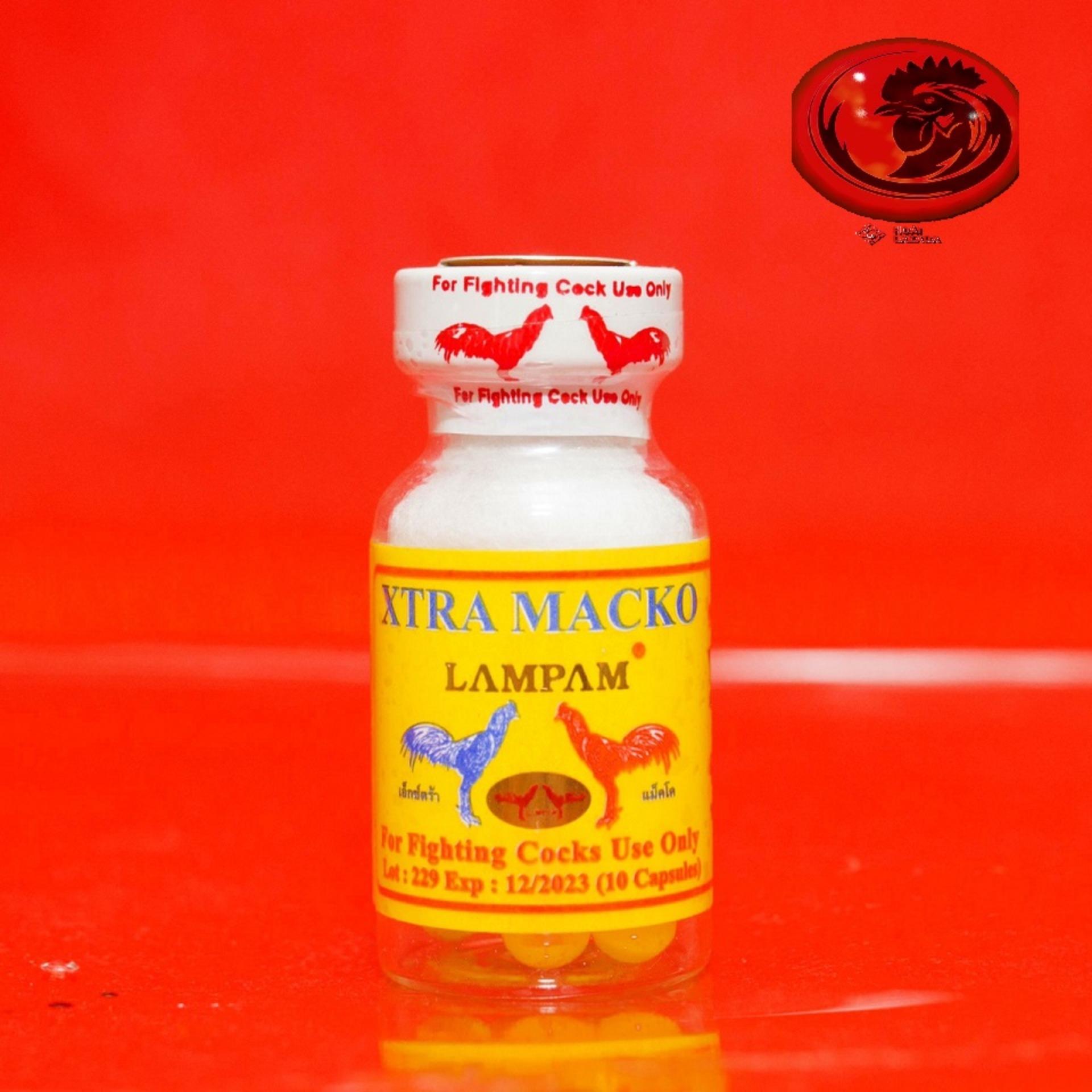Xtra Macko - Nhộng vàng CHIẾC LẼ 2 VIÊN dành cho gà đá